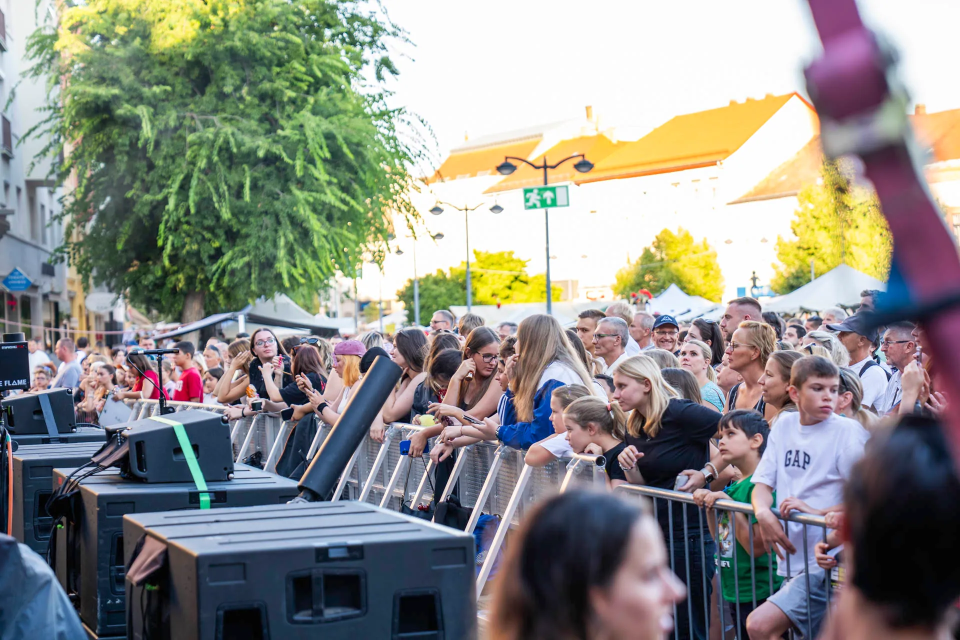 Anima Sound System és a Savaria Szimfonikus Zenekar — 2