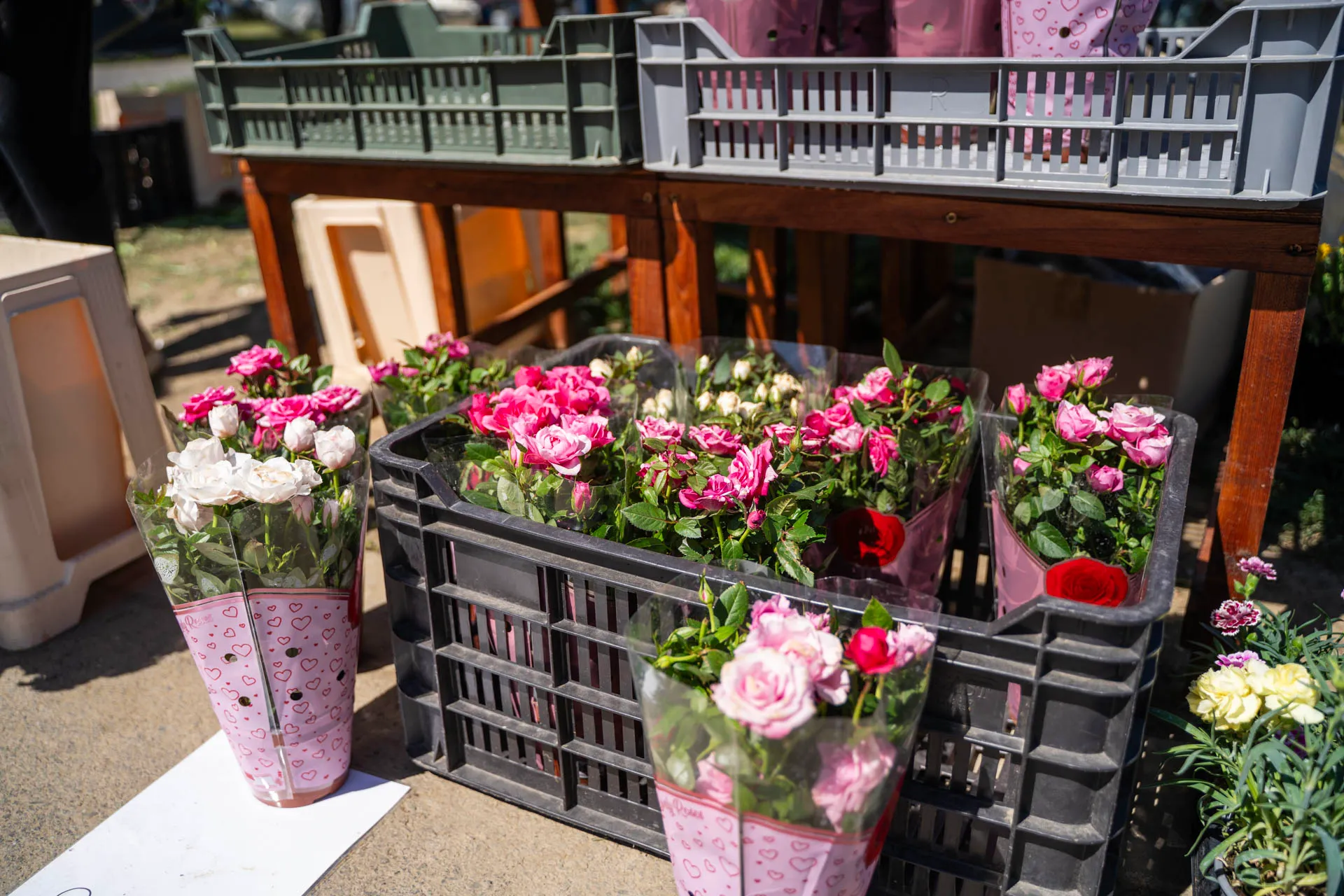Anyák napi virágpiac — riport fotózás, Maczkó Fotó
