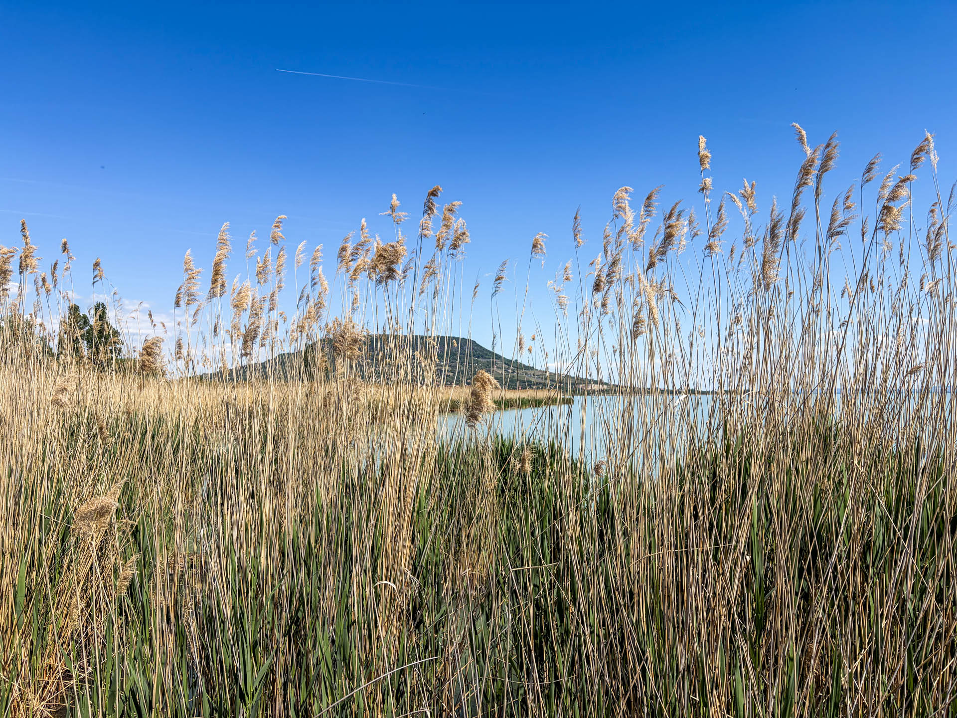 Balaton — Vitorláskikötő — 5