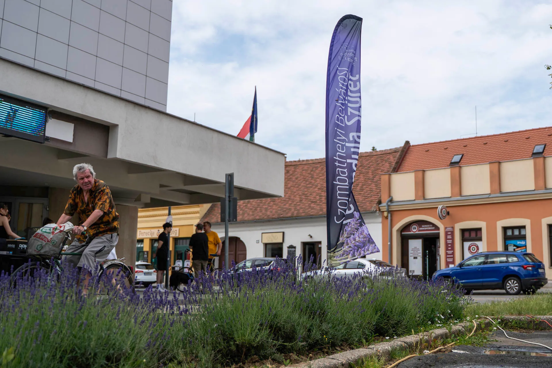 Levendulafesztivál — 1