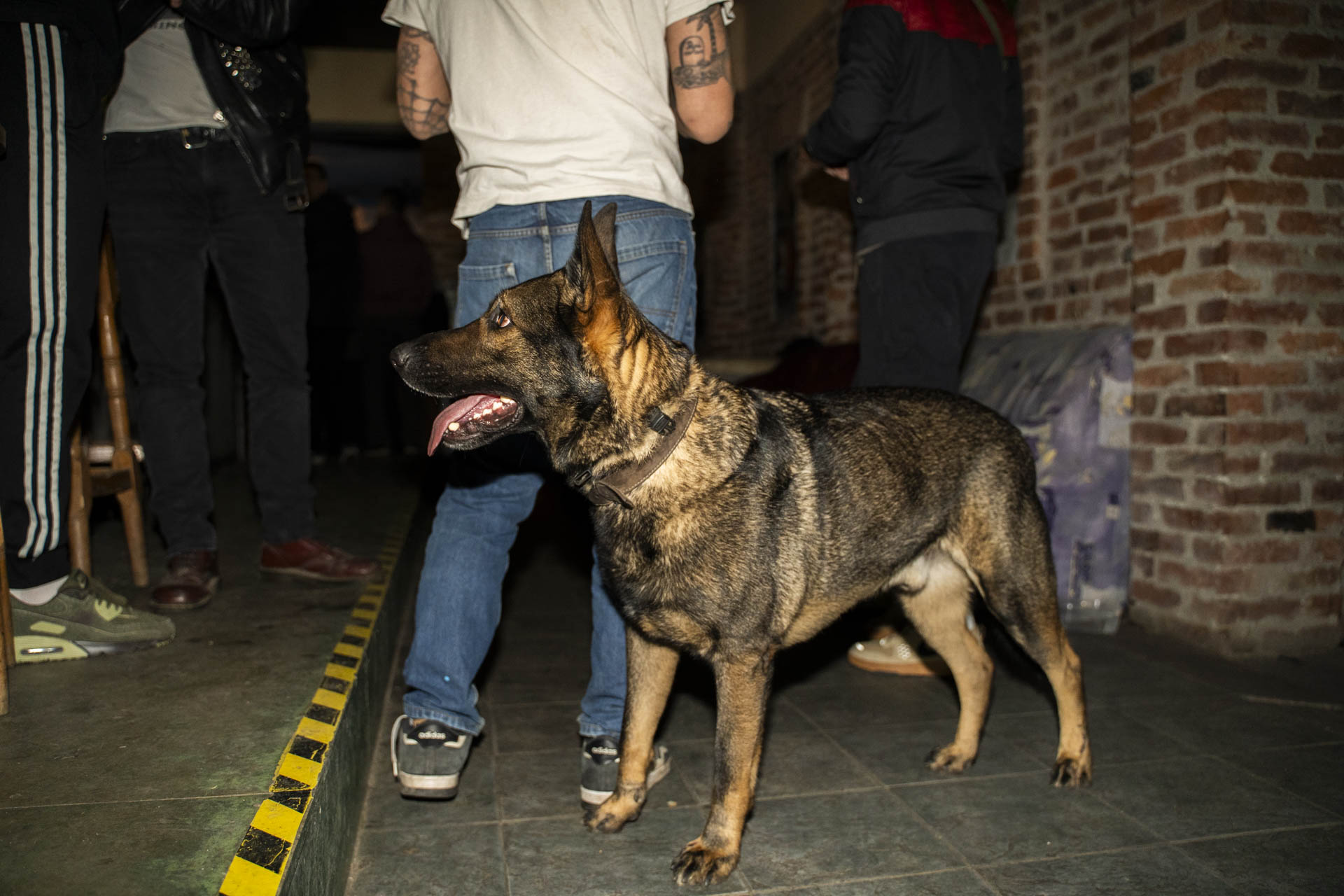 Végállomás — Punk koncert — 30