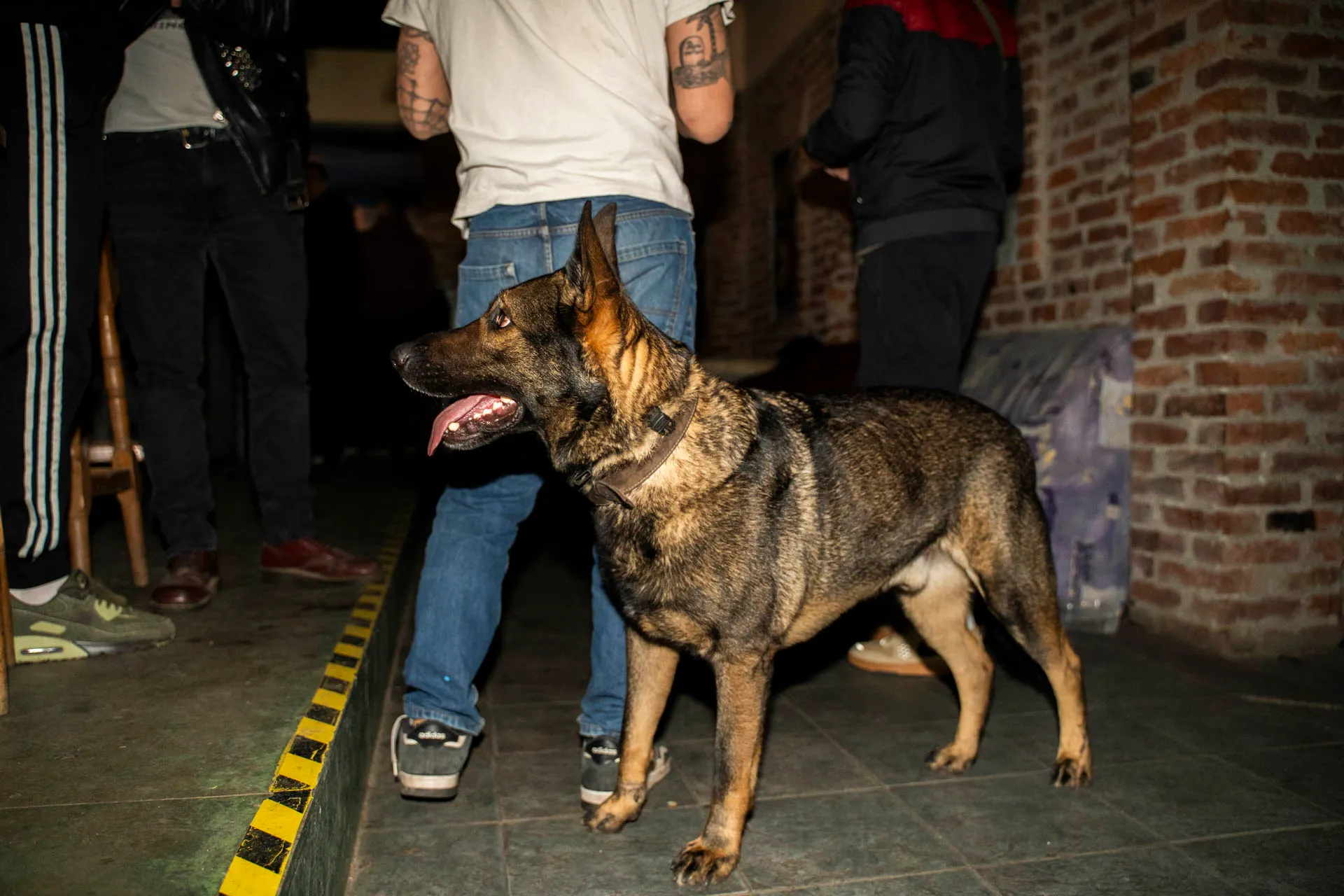 Végállomás, punkkoncert — 30
